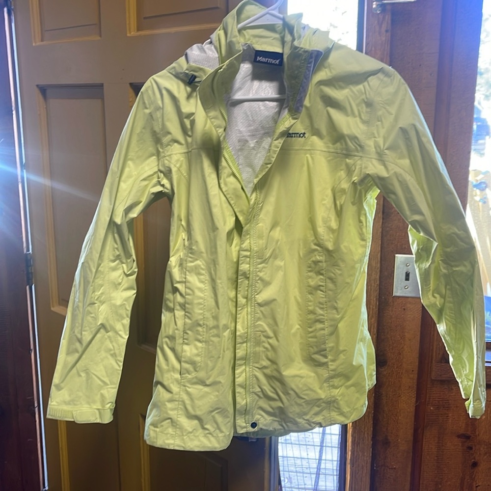 NWT MARMOT PRECIP IN SUNNY LIME